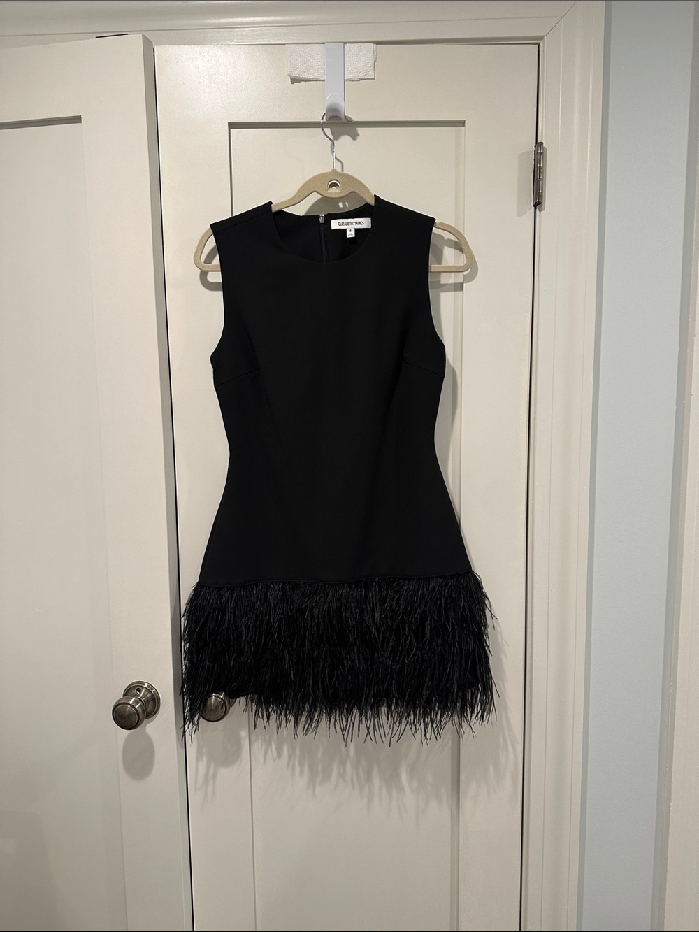 Elizabeth James feather dress